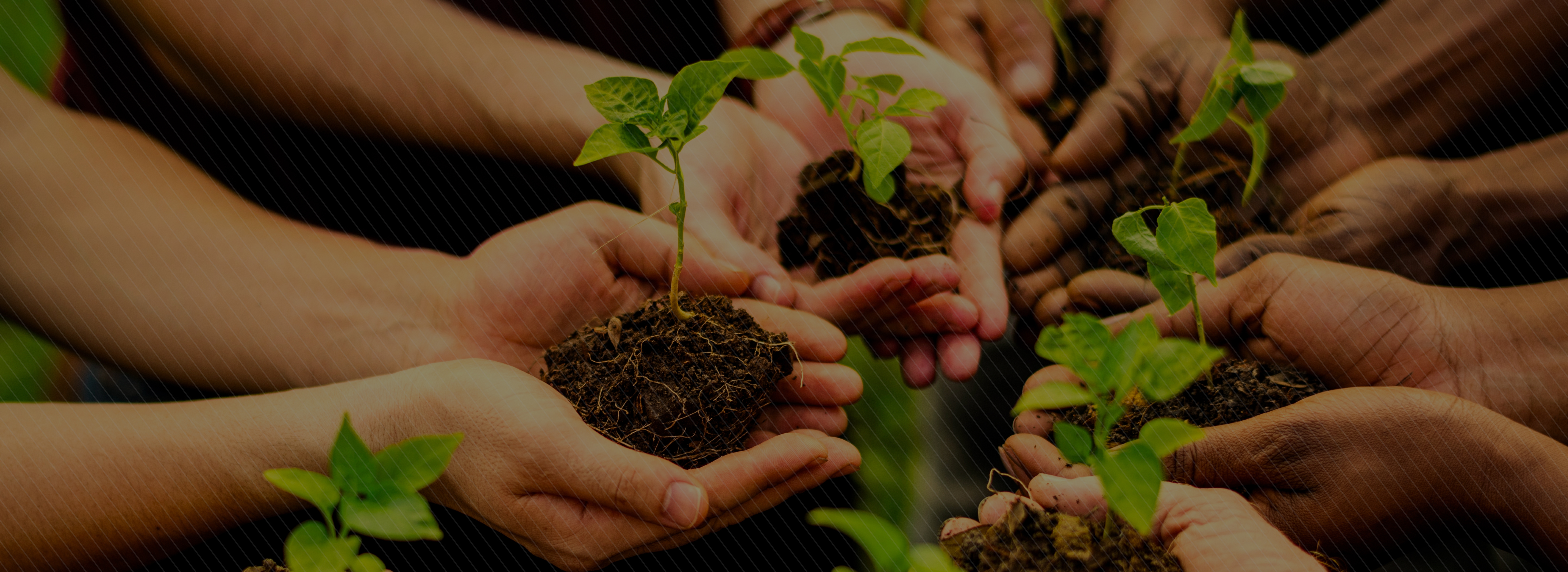 ViewBag.Title Greemakers